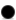 Lapacho Negro