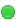 Lapacho Verde