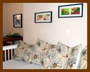 Lapacho Premium